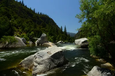 DSC_2261 (Large).JPG